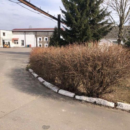 ⚡-50% Комплекс зданий и сооружений производственного участка, расположенного по адресу: Минская обл., Мядельский р-н, д. Илово, ул. Заводская, 1